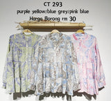 CT293